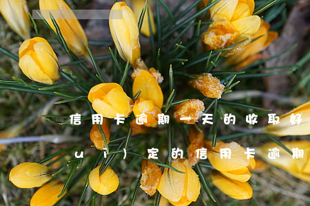 信用卡逾期一天的收取好多費用(國家規(guī)定的信用卡逾期費用收取是多少)