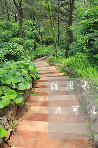 信用卡逾期一天的照片(信用卡逾期一天的照片可以嗎)