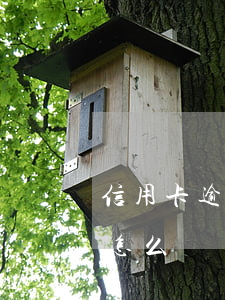 信用卡逾期一天砸辦(不小心信用卡逾期一天怎么辦)