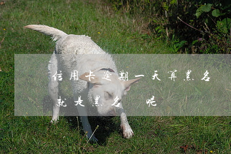 信用卡逾期一天算黑名單嗎(銀行逾期多少次就是黑名單呢?)
