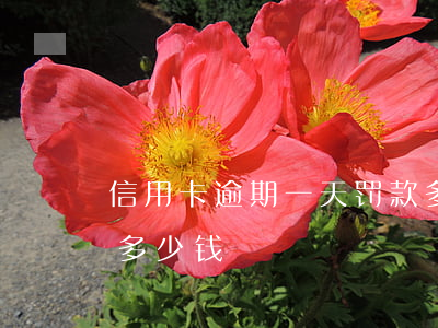 信用卡逾期一天罚款多少(信用卡逾期最多罚多少钱)