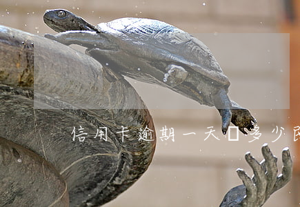 信用卡逾期一天罰多少民生