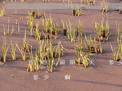 信用卡逾期一天罰多少錢(信用卡逾期一天罰多少錢啊)