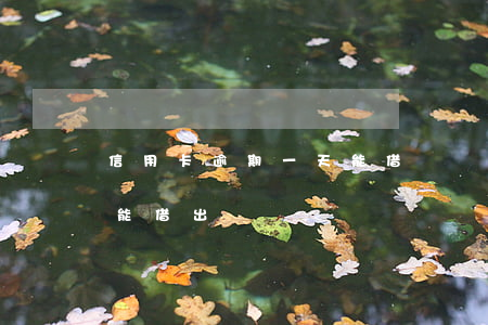 信用卡逾期一天能借錢嗎(信用卡逾期一天還能借出來嗎)