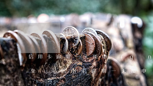 信用卡逾期一天能申請(qǐng)利息減免嗎-信用卡逾期一天能申請(qǐng)利息減免嗎知乎