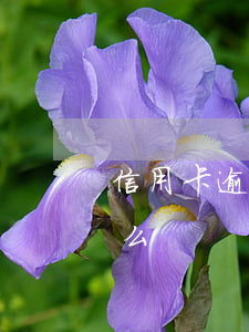 信用卡逾期一天要不要紧(信用卡1天算逾期么)