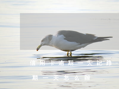 信用卡逾期一天記錄-2021年信用卡逾期一天怎么辦