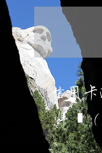 信用卡逾期一天賬單七萬(七萬信用卡逾期一年應(yīng)該還多少錢)