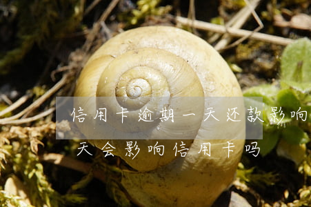 信用卡逾期一天还款影响房贷吗(房贷逾期一天会影响信用卡吗)