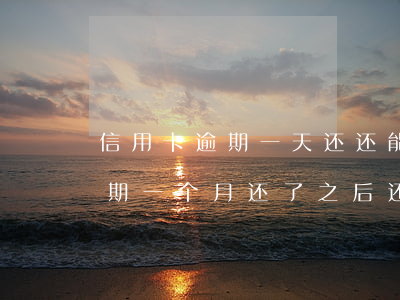 信用卡逾期一天还还能在用么-我信用卡逾期一个月,还了之后还能用吗