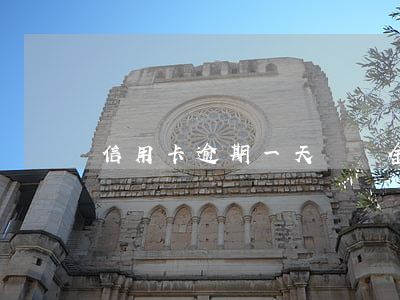 信用卡逾期一天違約金能免除嗎