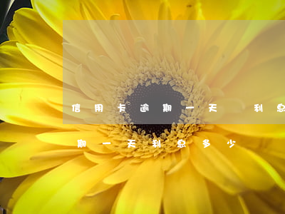 信用卡逾期一天還利息多嗎(兩萬的信用卡逾期一天利息多少)