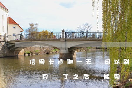 信用卡逾期一天還可以刷嗎(我信用卡逾期一個月,還了之后還能用嗎)