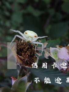信用卡逾期一天還可以嗎(哪個銀行的信用卡不能逾期一天)