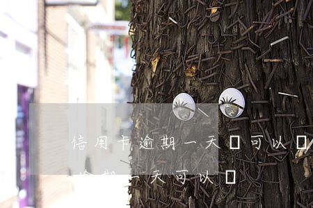 信用卡逾期一天還可以還最低嗎-我信用卡逾期一天可以嗎