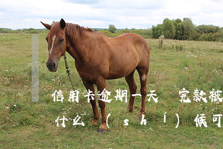 信用卡逾期一天還完款被鎖(逾期鎖卡,還款后,什么時(shí)候可以用)