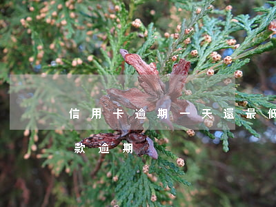 信用卡逾期一天還最低還款額(信用卡 最低還款 逾期)