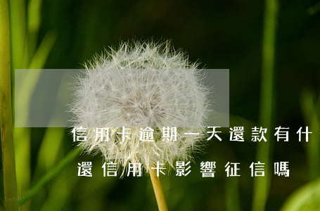信用卡逾期一天還款有什么影響-逾期一天還信用卡影響征信嗎