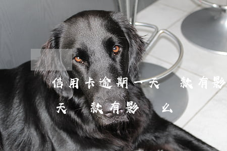 信用卡逾期一天還款有影響么 信用卡逾期一天還款有影響么嗎