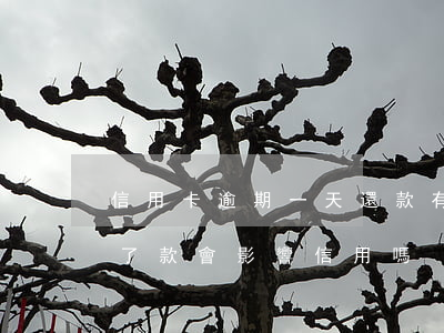 信用卡逾期一天還款有影響嗎-逾期一天還了款會影響信用嗎