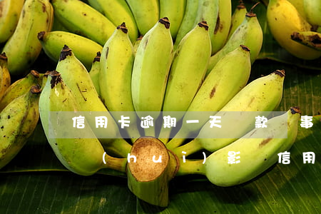 信用卡逾期一天還款沒事嗎(逾期一天還了款會(huì)影響信用嗎)