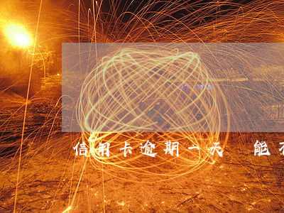 信用卡逾期一天還能不能用
