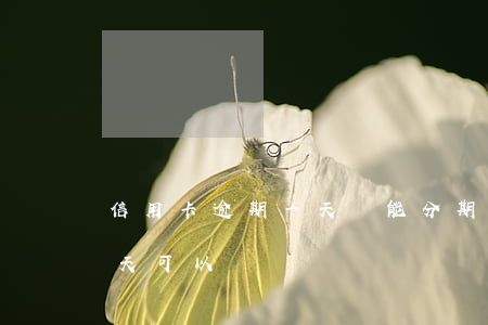 信用卡逾期一天還能分期嗎(我信用卡逾期一天可以嗎)