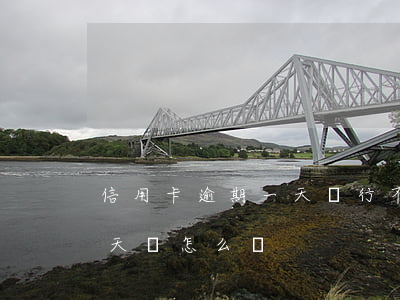 信用卡逾期一天還行不行(信用卡逾期逾期一天會怎么樣)