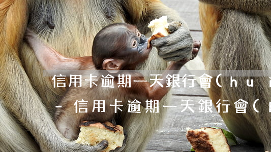 信用卡逾期一天銀行會(huì)通知我嗎-信用卡逾期一天銀行會(huì)通知我嗎怎么辦