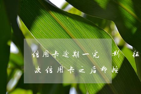 信用卡逾期一完會影響征信嗎-只逾期過一次信用卡,之后都按時還款,征信影響大嗎