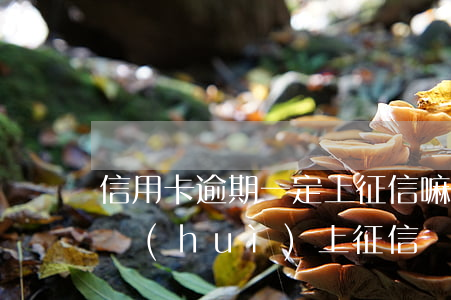 信用卡逾期一定上征信嘛(信用卡只要逾期就會(huì)上征信嗎)
