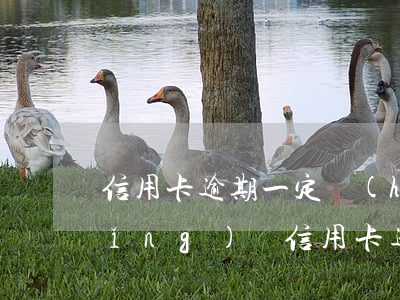 信用卡逾期一定會(huì)上門么(請(qǐng)問信用卡逾期會(huì)上門要嗎)