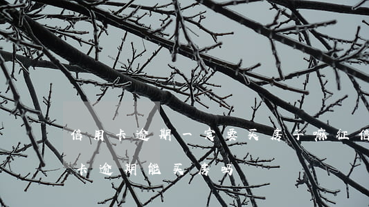 信用卡逾期一定要买房子嘛(征信报告有信用卡逾期,能买房吗)
