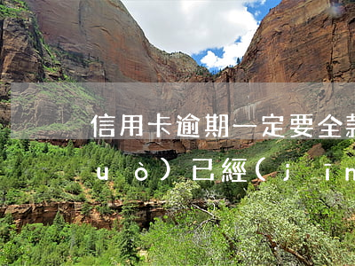 信用卡逾期一定要全款還嘛(貸款逾期過(guò),已經(jīng)還清了多久可以信用卡)