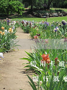 信用卡逾期一定要全額還嗎(信用卡逾期多久銀行就會要求還全款了?)