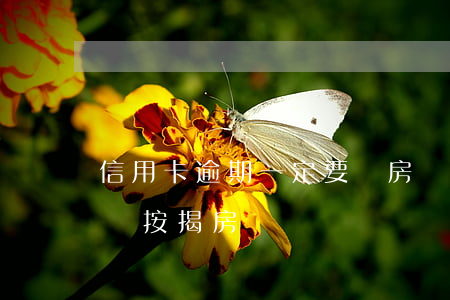 信用卡逾期一定要賣房嗎(信用卡逾期會影響賣按揭房嗎)
