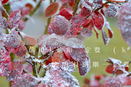 信用卡逾期一定要開(kāi)具困難證明嗎-信用卡逾期一定要開(kāi)具困難證明嗎怎么辦