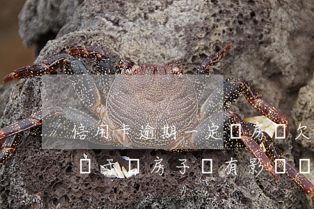 信用卡逾期一定賣房嗎(欠信用卡逾期3年了,對于賣房子會有影響嗎)