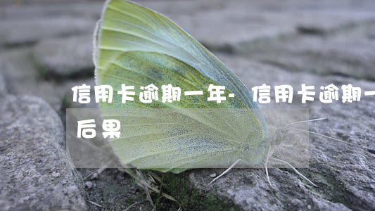 信用卡逾期一年-信用卡逾期一年會有什么后果
