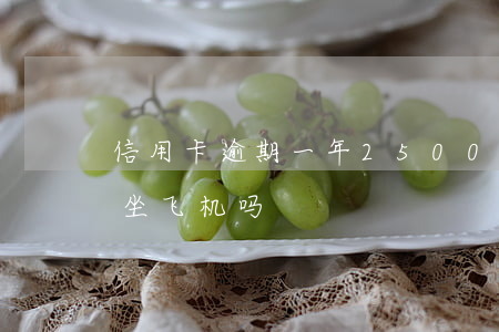 信用卡逾期一年2500(信用卡逾期一年能坐飞机吗)