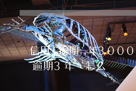 信用卡逾期一年3000多(信用卡8000逾期3年會怎么樣)