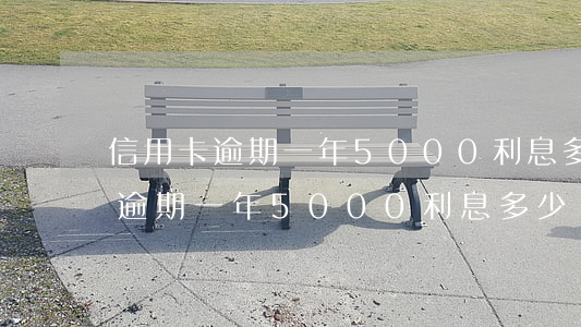 信用卡逾期一年5000利息多少-信用卡逾期一年5000利息多少錢