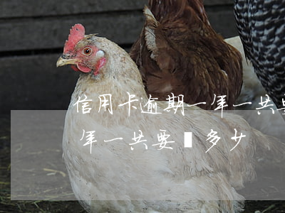 信用卡逾期一年一共要還多少(信用卡逾期一年一共要還多少)