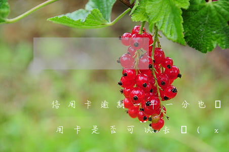 信用卡逾期一年一分也沒有還 逾期一年的信用卡是否可以去協(xié)商分期