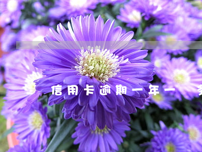信用卡逾期一年一萬多