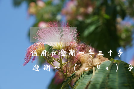 信用卡逾期一年三十多萬(wàn)(信用卡逾期一萬(wàn)多三年了怎么辦)