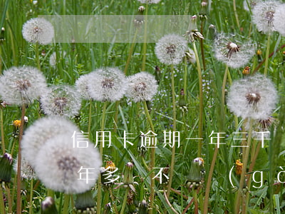 信用卡逾期一年三千塊 三千的信用卡逾期一年多會不會構(gòu)成犯罪