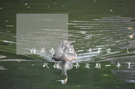 信用卡逾期一年不交會(huì)怎么處理-我信用卡逾期一年了后果是什么?