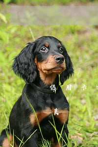 信用卡逾期一年不良記錄(信用卡逾期一年不良記錄怎么消除)