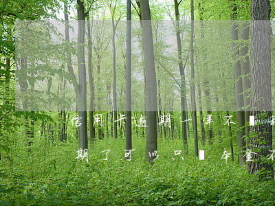 信用卡逾期一年不還利息可以嗎(欠信用卡逾期了可以只還本金不還利息嗎)